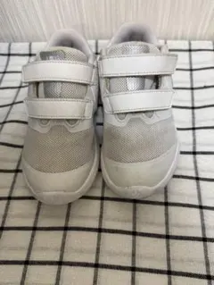 Item thumbnail for item 84fe5038-20d2-4bbc-9fbd-3dd7a477662a