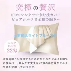 HOUSIST Pure Silk 枕カバー ライトブルー