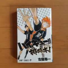 【今ならすぐ発送】ハイキュー!! コンプリートガイドブック 排球本!