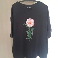 ツアー tシャツ