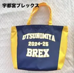 ブレックス バスケットボール