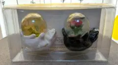 アフタヌーンティーCat'sNapTime 『ミニスノードームマグネットセット』