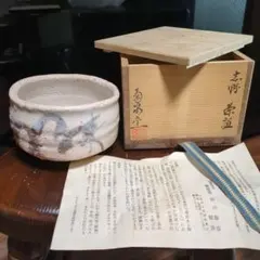 美濃焼 　志野焼　 大皿　桐箱付き　田中源也/作　A5787 美濃焼 志野焼 大皿 桐箱付き 田中源也/作 A5787 【公式通販】