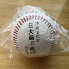 第77回 全国高校野球 甲子園 日大藤沢高校 記念ボール