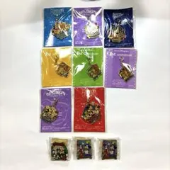 東京ディズニーランド　ディズニーシー　非売品　チャーム　ピンバッジ