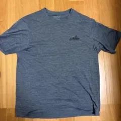 メンズ・キャプリーン・クール・デイリー・グラフィック・シャツ