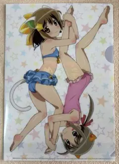 えとたま クリアファイル 付録