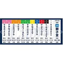 競馬】マイユニバース・応援フェイスタオル／JRA／宝塚記念／阪神競馬 