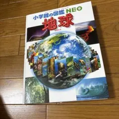 小学館 NATURE 『自然大博物館』図鑑【値下げ】 | Mercari