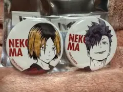 ハイキュー!! トレーディングAni-Art 缶バッジ ver.B