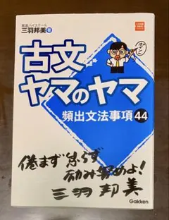 古文ヤマのヤマ、漢文ヤマのヤマ　2冊セット