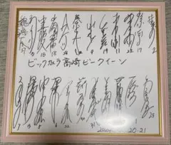 【レア】ソフトボール ビックカメラ高崎ビークイーン 選手·スタッフのサイン