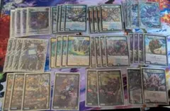 ドロマーゼーロ