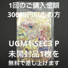 2025年最新】ugm1-sec3の人気アイテム - メルカリ