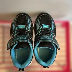 Item thumbnail for item 6a11c2b5-7ae6-4cf9-a0cf-6ece2df24444