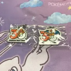 ポケモン 30周年 メタルチャーム マスコット ヒトカゲ リザードン セット
