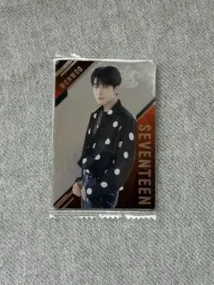 SEVENTEEN ウォヌ トレカ　ウエハース　お菓子　セブチ