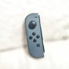 任天堂 Switch ジョイコン Joy-Con joycon グレー
