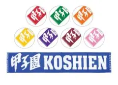 甲子園 高校野球 カラーマフラータオル