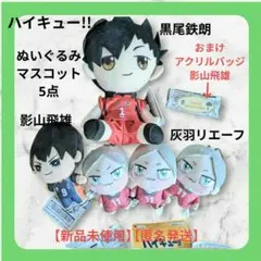 ハイキュー ぬいぐるみ マスコット 黒尾鉄朗 影山飛雄 灰羽リエーフ おまけ付き