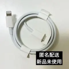 Apple iPhone ケーブル Lightning Type-C 純正