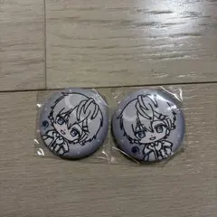 カラフルピーチ　ヒロ　刺繍缶バッジ2個セット