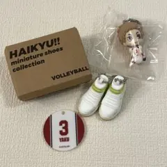 ハイキューミニチュアシューズコレクション vol.2 青根 - メルカリ