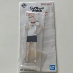 2025年最新】ハイキュー!!/キャラクター名：月島蛍 アクリルスタンドの