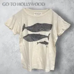 【GO TO HOLLYWOOD ゴートゥハリウッド】　シルク混　Tシャツ　綿