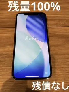 iPhone12 Pro 256GB グラファイト SIMフリー 美品！