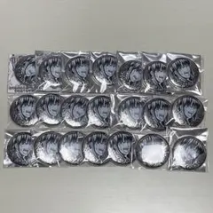 銀魂 銀魂展 シルバーソウル 缶バッジ 缶バ 桂 桂小太郎 21個セット