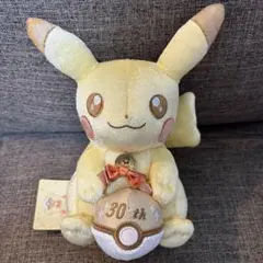 ✨ピカチュウ 30周年記念 ぬいぐるみ✨