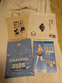 ミズノtシャツm