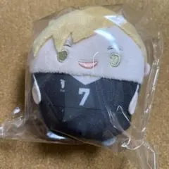 ハイキュー くじメイト ぬいくじ D賞 ふわコロりん 宮侑