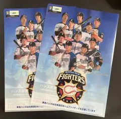 大谷翔平選手 日ハム 北海道銀行 クリアファイル 2015 - メルカリ