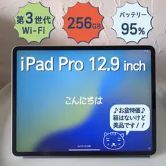 ※※Taka様※※　iPad Pro(12.9インチ) 第3世代 256GB