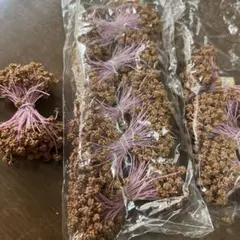 粒ペップ　色付き　茶色　3束