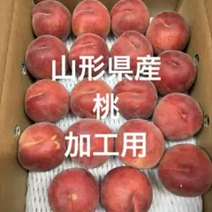 山形県産⑥桃　加工用のサムネイル