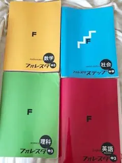 フォレスタステップ中3