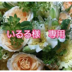 いるる様　専用