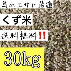 2026年最新】くず米 30kgの人気アイテム - メルカリ