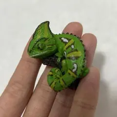 カメレオンガチャ