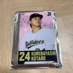 コロチャレ　オリックスバファローズ紅林弘太郎　アクリルカード