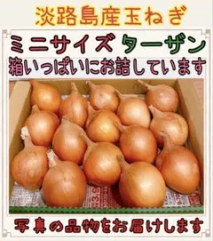 ㉗淡路島産玉ねぎ ターザンのサムネイル