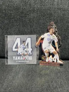 徳島ヴォルティス(山口選手)