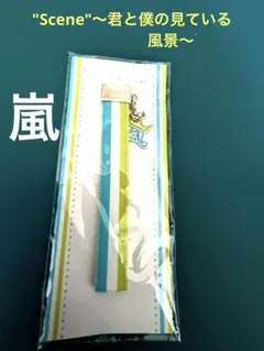 嵐★ファンの方必見★青と緑のストライプデザイン⭕️王冠デザインチャームストラップ