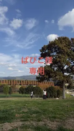 ぱぴこ様　専用