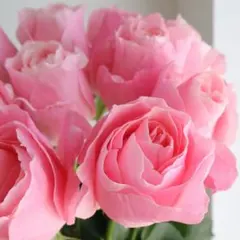 ヒロさん様 リクエスト 2点 まとめ商品