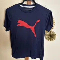 PUMA キッズ サッカーTシャツ ネイビー 赤ロゴ
