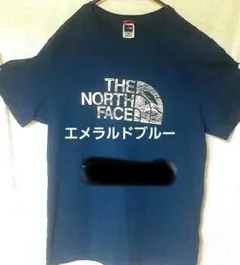 海外土産品、ザ・ノース・フェイス、ロッククライミングプリントTシャツ、緑+青、M